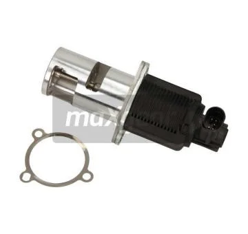 elancar-120260701012837660564