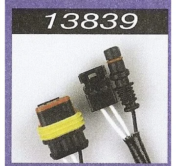 elancar-120260701104011854157