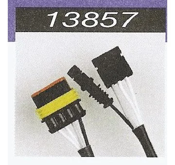 elancar-120260701104029854238