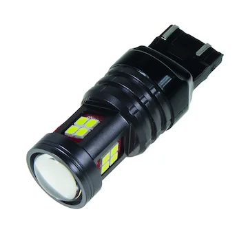 elancar-620260630211615565615