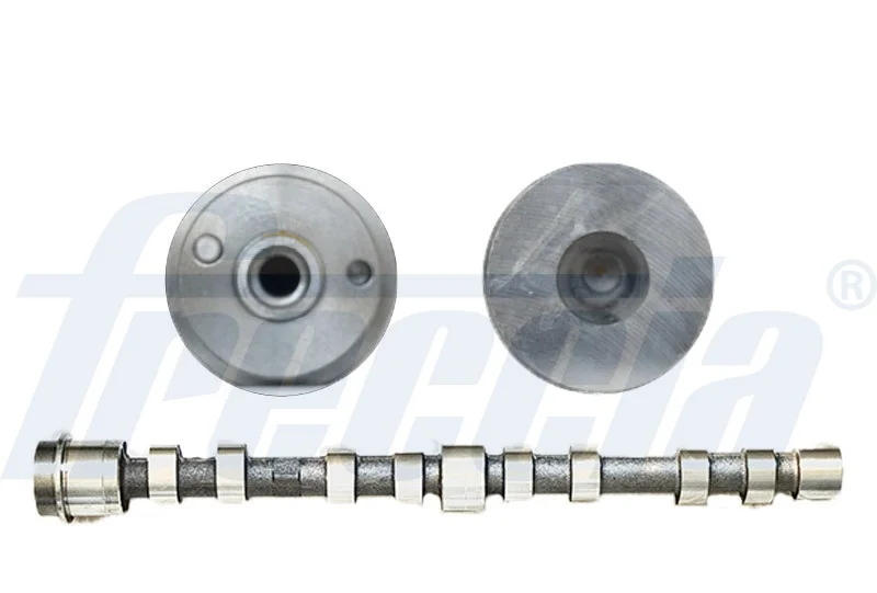 motora-620260630165719471856
