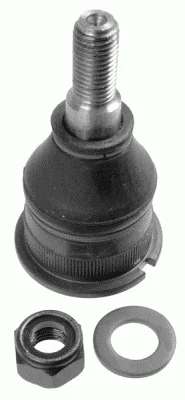 motora-620260630183216508208