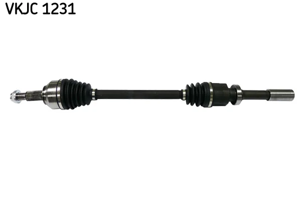 motora-620260630211415564851