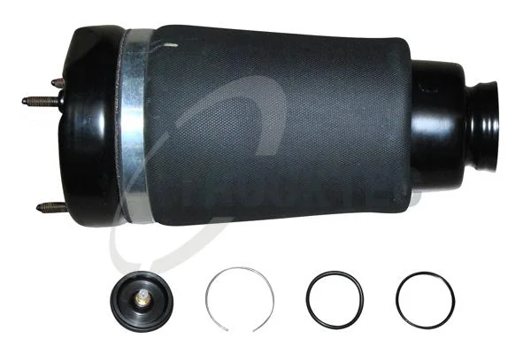 motora-620260701002259637331