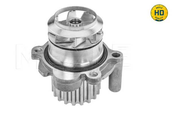 motora-620260701011748656191
