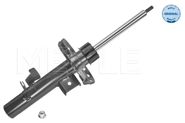 motora-620260701015617669498