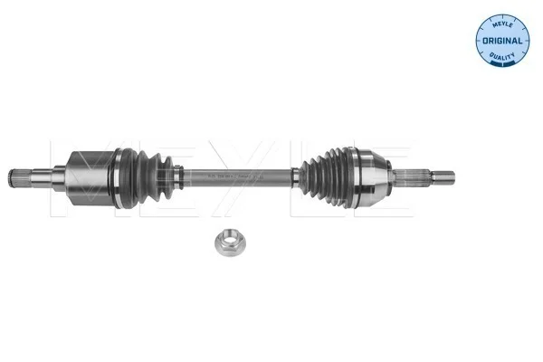 motora-620260701020423672565
