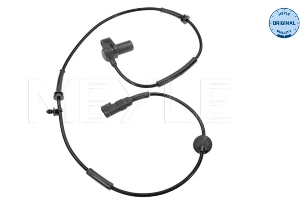 motora-620260701020527672936
