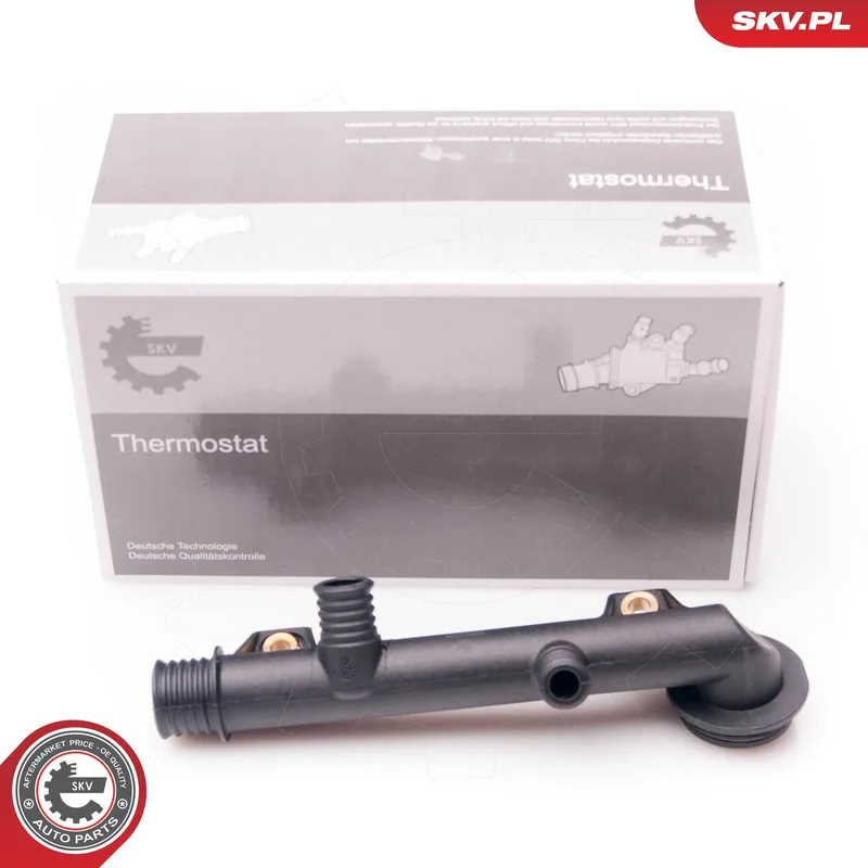 motora-620260701041241721165