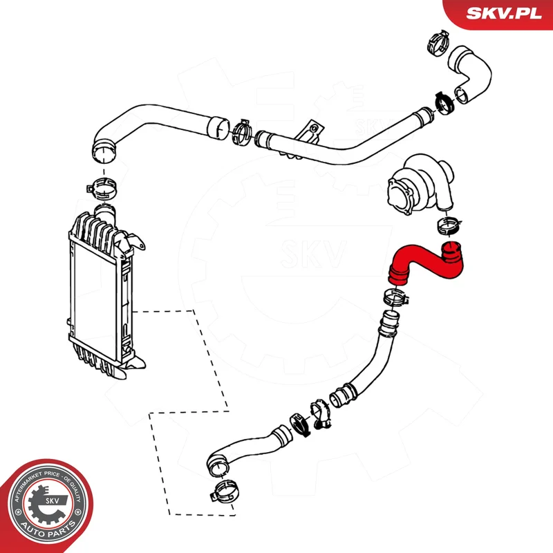 motora-620260701043026728531
