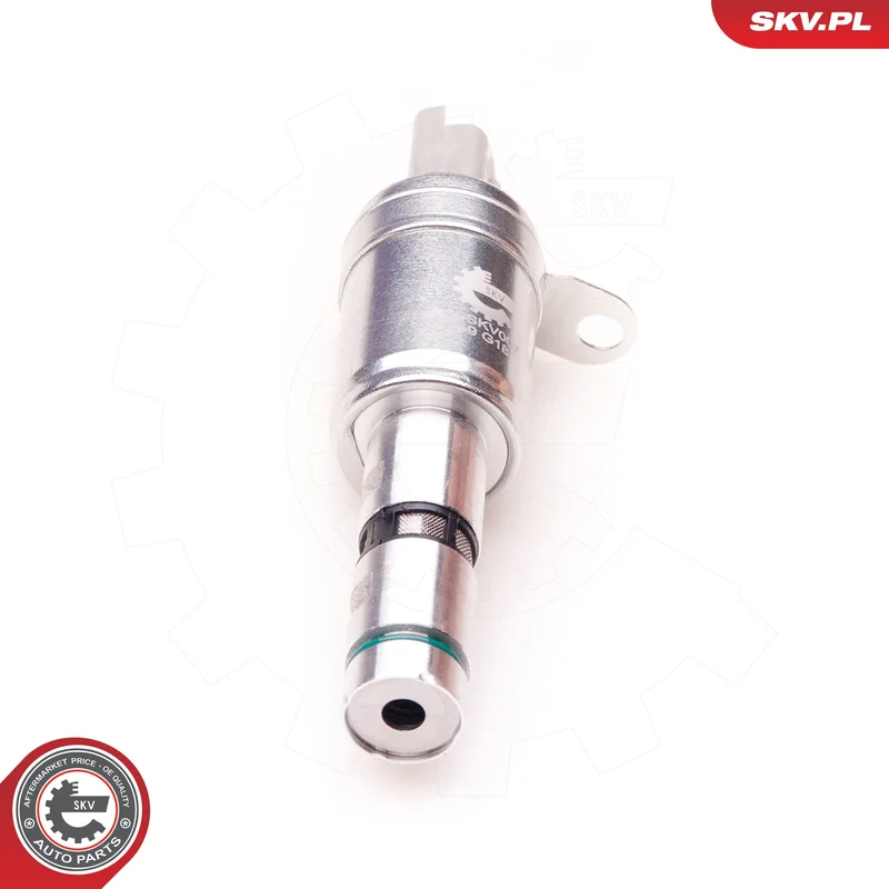 motora-620260701045739738917