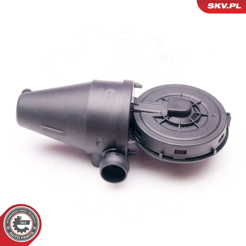 motora-620260701050703743074
