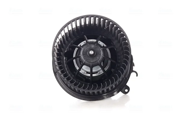 motora-620260701060315764029