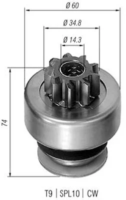 motora-620260701061546767836