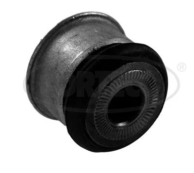 motora-620260701063732775850