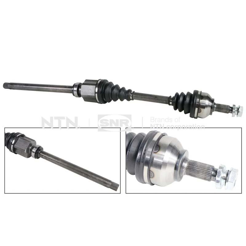 motora-620260701070330785602