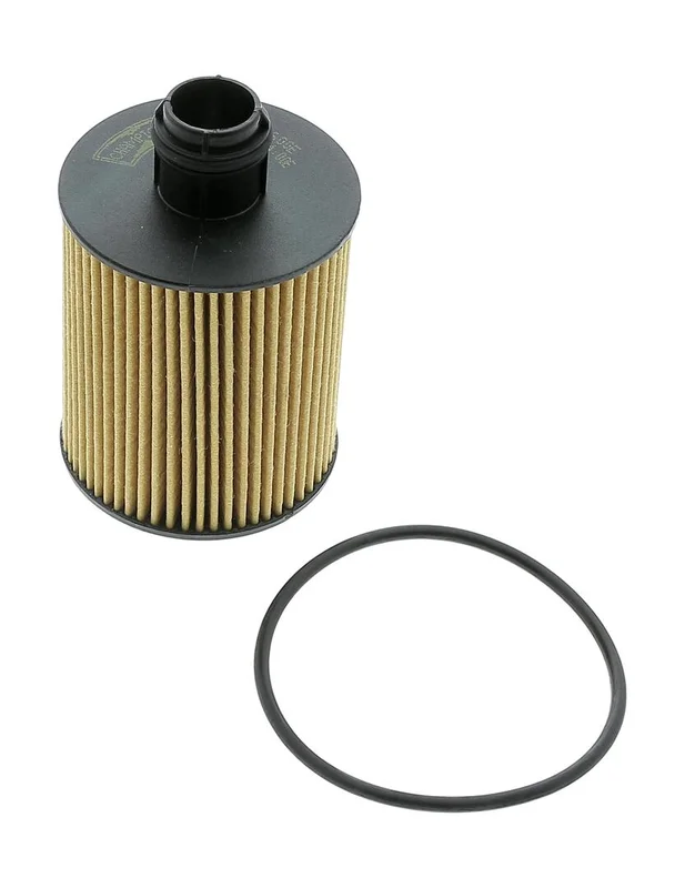 motora-620260701073458797884